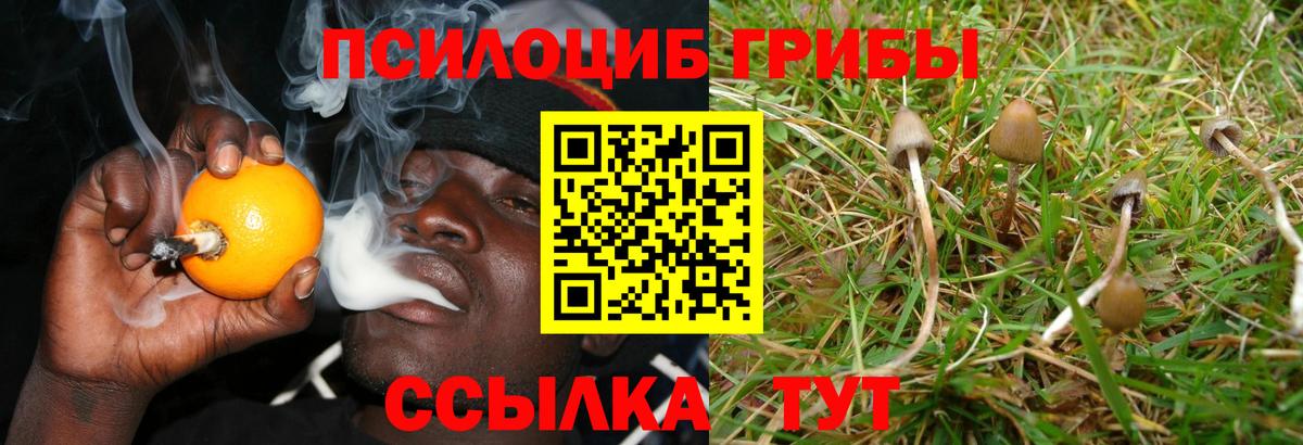 Таганрог  Галлюциногенные грибы GOLDEN TEACHER  Вход с VPN 